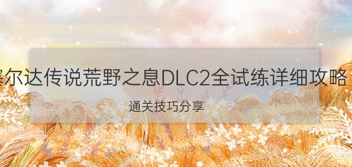 塞尔达传说荒野之息DLC2全试练详细攻略 通关技巧分享